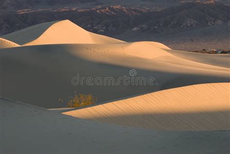 Sand Dunes in Death Valley at Sunrise Stock Image - Image of park ...