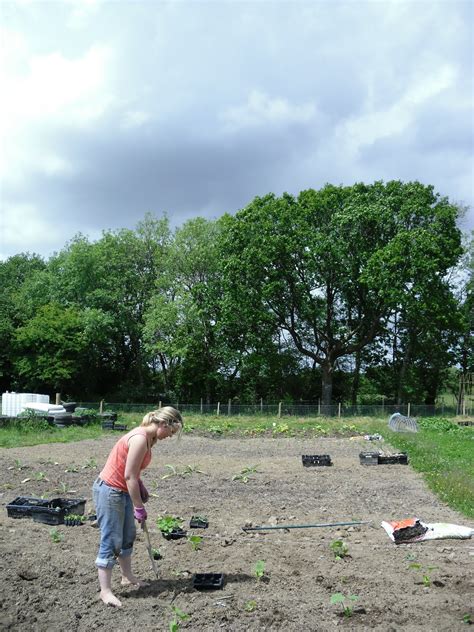 Boys in the Woods: Take Me Farming, Barefoot in the Rain