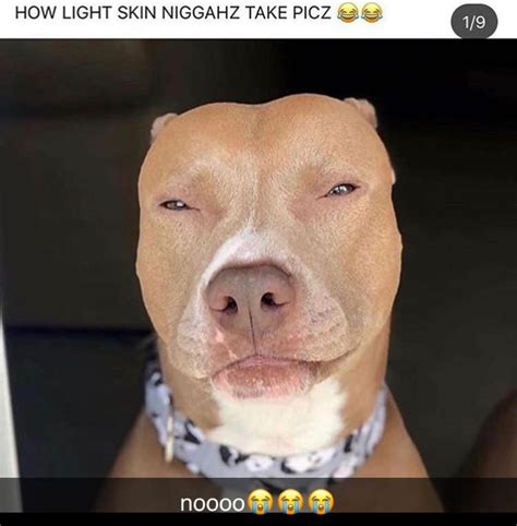 @saiiddaaaa got mo like dis 🥰! | Light skin, Pets, Pitbulls