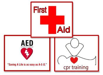 Adult and Pediatric First Aid/CPR/AED, American Red Cross, First Aid ...