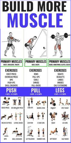 9 Push Pull Legs Workout ideas | push pull legs, push pull legs workout, push pull workout