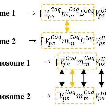 Phase 1 and 2 crossover possible combinations | Download Scientific Diagram