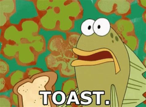 Toast GIF - Toast - Discover & Share GIFs