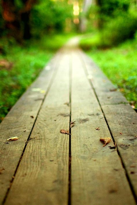 Pathway Wallpapers - Top Free Pathway Backgrounds - WallpaperAccess