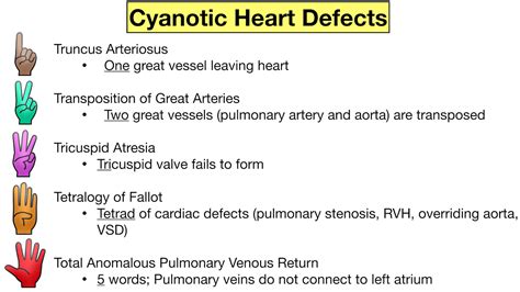 Cyanotic Heart Disease Symptoms Shop Discounted | www.deborahsilvermusic.com