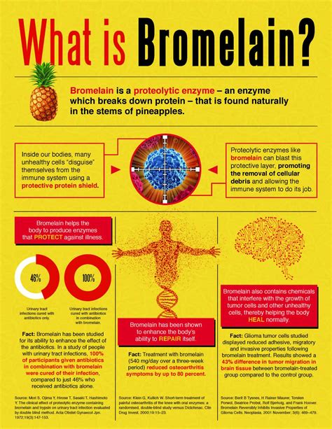 What is Bromelain Infographics