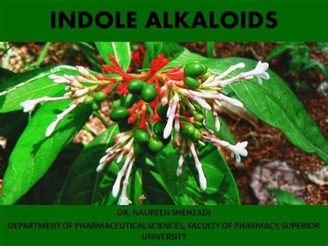 INDOLE ALKALOIDS by drfateha via authorSTREAM | Herbalism, Medicinal plants, Backyard