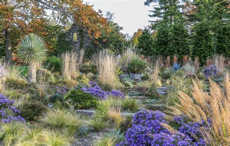 Chanticleer, gravel garden | Garden planning, Gravel garden, Grasses garden