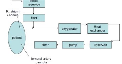 Heart Lung Machine Block Diagram ~ Electronics and Communication