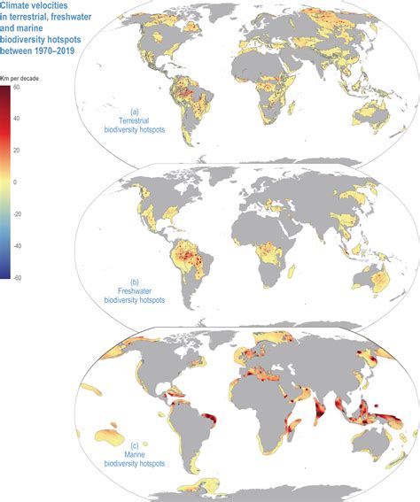 Marine Biodiversity Map