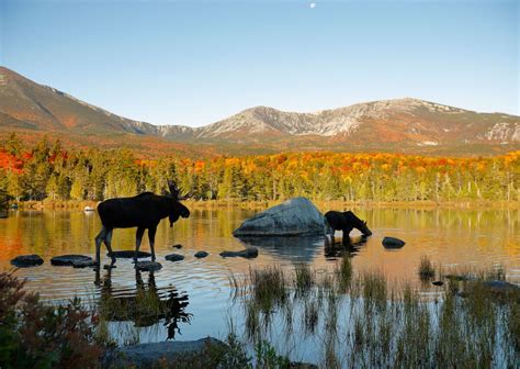 What to Do Outdoors in Maine: The Best State Parks