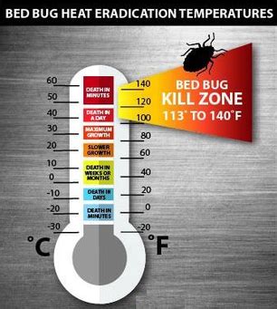 What You Need To Know About Bed Bug Heat Treatment - AKCP