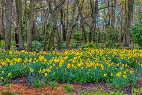 Delaware Botanic Gardens Reopens for the Season