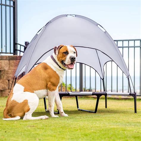 2022 NEW Luxury Elevated Dog Bed With Canopy - Dzordz Shop