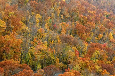 Arkansas Fall 2008 | Tom Kennon Photography