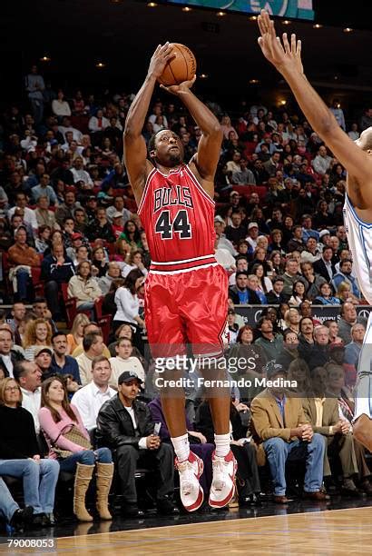 208 Chicago Bulls Adrian Griffin Photos & High Res Pictures - Getty Images