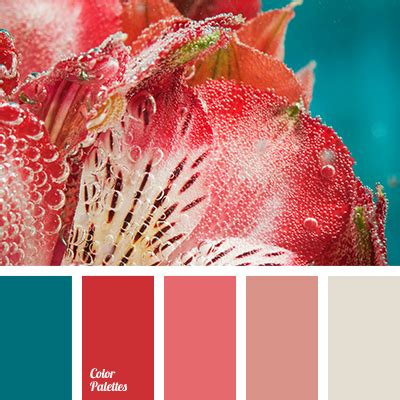 red and coral | Color Palette Ideas