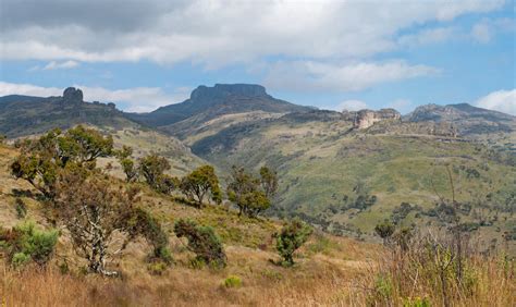 Mount Elgon National Park (Official GANP Park Page)