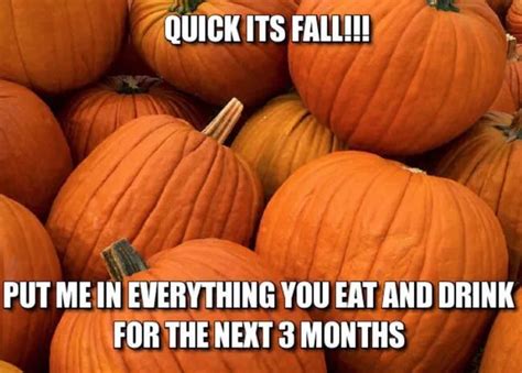 20+ Best First Day of Fall Funny Memes & Images to Get Ready for Season