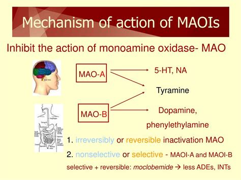 Maois foods to avoid: MAOIs and diet: Is it necessary to restrict tyramine?