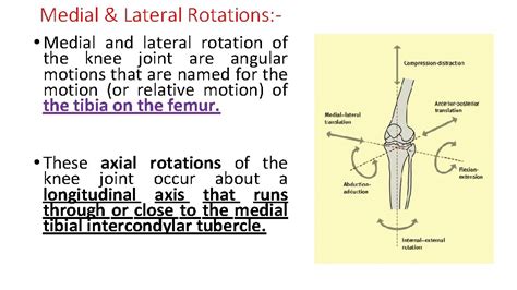 KNEE JOINT KINEMATICS Medial and Lateral rotation RIMT