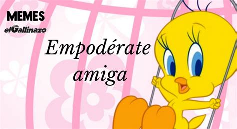 Total 56+ imagen frases piolin meme - Abzlocal.mx