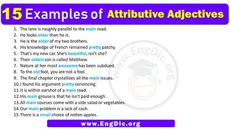 15 Examples of Attributive adjectives in Sentences - EngDic