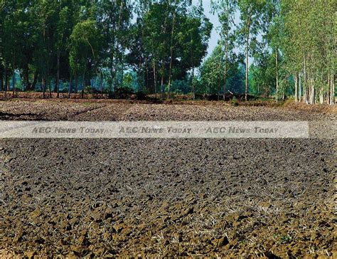 Mekong Delta Drought Wreaking Economic Havoc