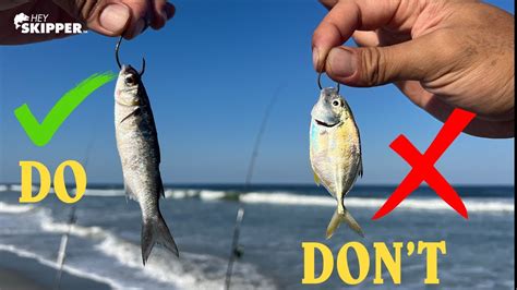 EPIC Surf fishing Method w/ LIVE Bait | Do’s and Don’ts to Catch MORE ...