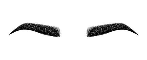 Eyebrow Vector at Vectorified.com | Collection of Eyebrow Vector free ...