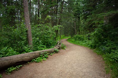 Itasca State Park