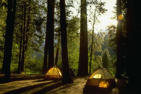 Yosemite Campgrounds: What You Need to Know