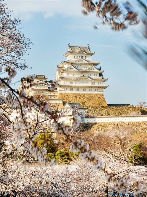 2019 Cherry Blossom Photo Tour | Himeji Castle | Japan Photo Guide Japan Photo Guide