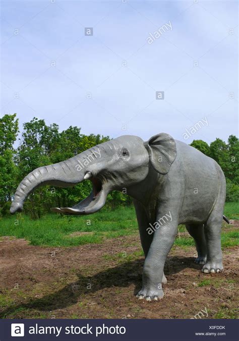 Platybelodon Size - Jaka-Attacker