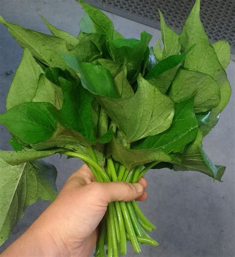 Cooking Sweet Potato Leaves - Green Mountain Girls Farm