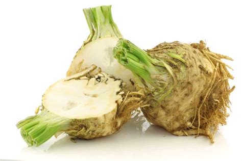 What is Celery Root {Celeriac} and What Do I Do with It?