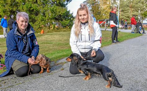 Maaseutumarkkinoiden huutokaupan meklari Seppo Kääriäinen: "Nyt männöö liian halavalla ...