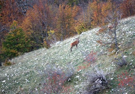 Walking in Abruzzo, A Short Guide | ITALY Magazine