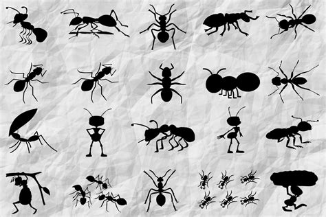 Ant Silhouette SVG | Karimoos Market