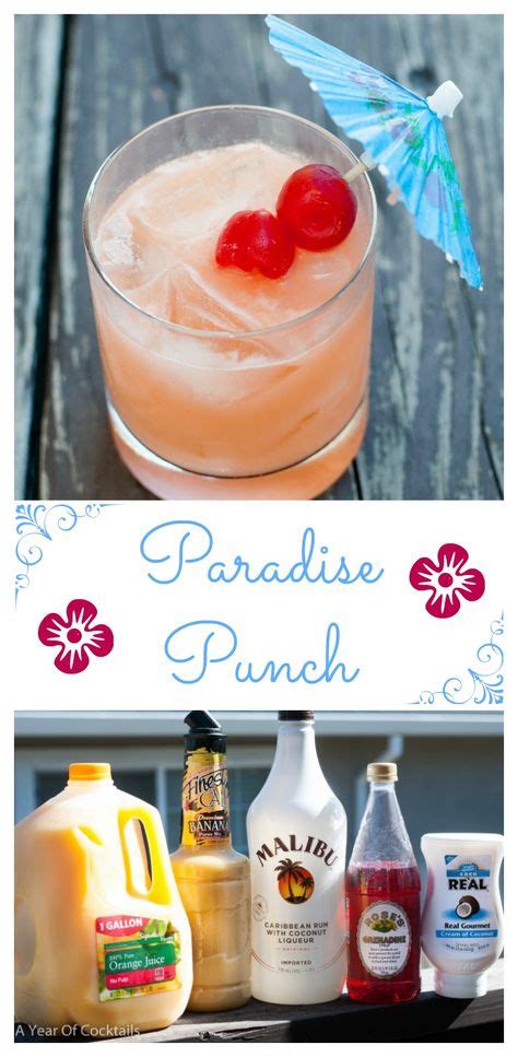 Paradise Punch | Recipe | Fruity cocktails, Mixed drinks recipes, Punch ...