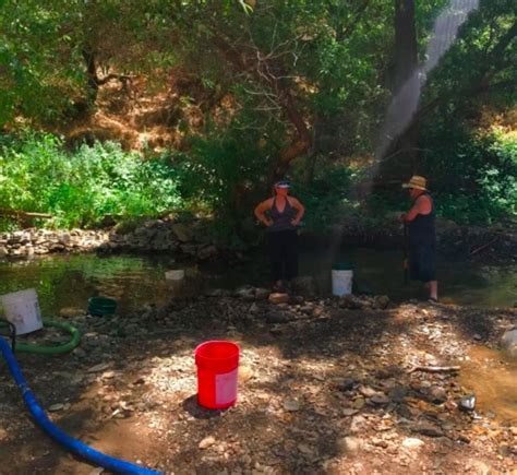 Photos - California Gold Panning