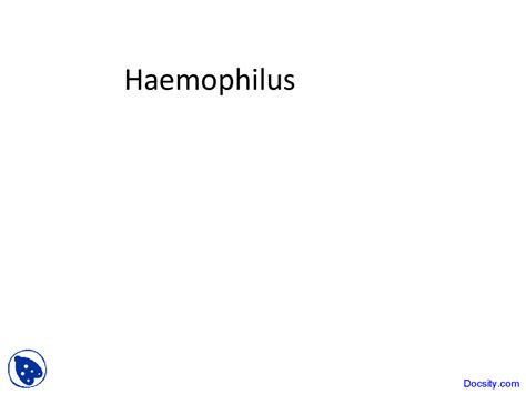 Haemophilus - Bacteriology - Lecture Slides | Slides Bacteriology | Docsity