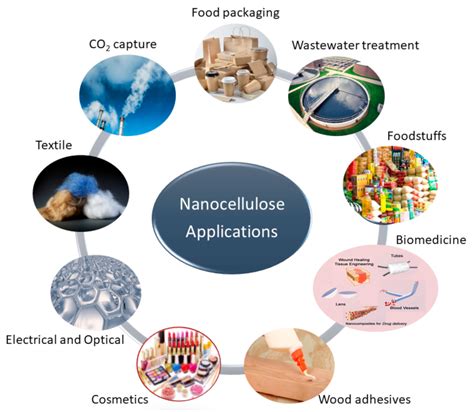 Processes | Free Full-Text | Nanocellulose from Agricultural Wastes ...