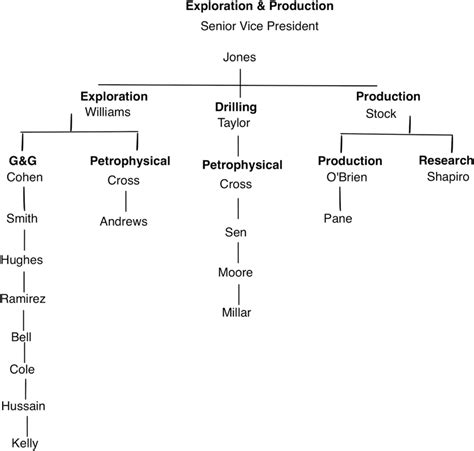 Example of a formal organizational structure | Download Scientific Diagram