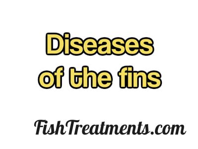 Diseases of the Fins – Fish Treatments that "Get To the Point"