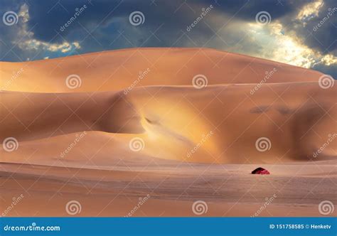 Beautiful Sand Dunes Landscape at Sunrise in the Namib Desert. Stock ...