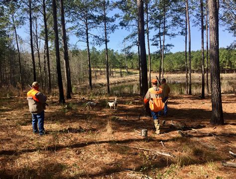 Hunting at Drake Landing - GetOutdoorsTV