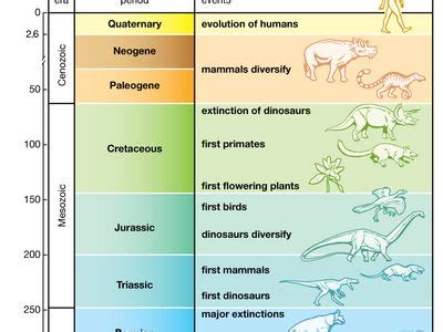 Darwin's Explanation for Evolution Was Dependent on Which Scientific ...