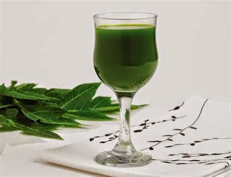 Papaya Leaf Tea Benefits ~ Healthy Tea 101