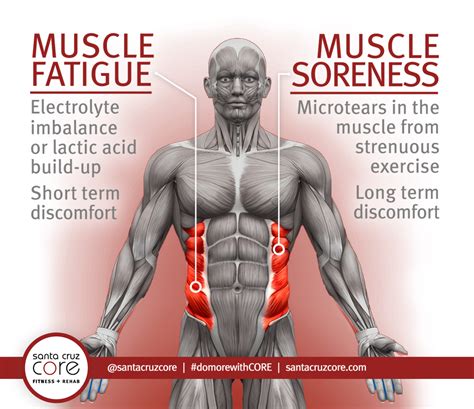 Muscle Fatigue In Legs After Workout - WorkoutWalls